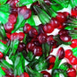 BUILD YOUR OWN NON FIZZY SWEET PICK & MIX - 100g Portions (BAGGED TOGETHER)